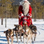 IMG_8724-Santa-huskies-210x245[1]