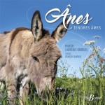 Anes-Tendres-ames