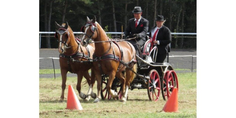 le-president-leon-richaud-et-le-groom-johanna-de-l-association-attelage-43-esperent-engranger-le-maximum-de-points-pour-le-championnat-de-france-photo-marie-christine-cartier-1725012818