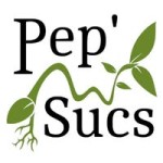 431887369_315379694890136_1287729007874683129_n