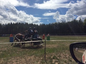IMG_8194
